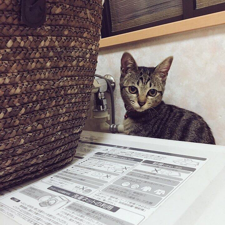 Fb703c2c ffa3 4f87 b6fd 8c14de18f9bc