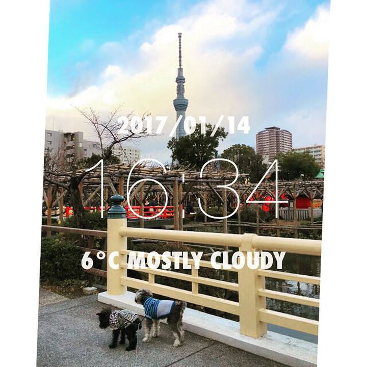 Fb70c566 abae 4a1c a293 271e965ee4da