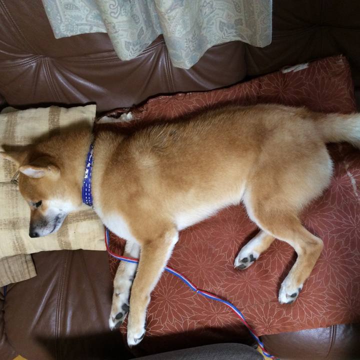 Fb70ce90 6e9d 409e bc29 a8713a526366