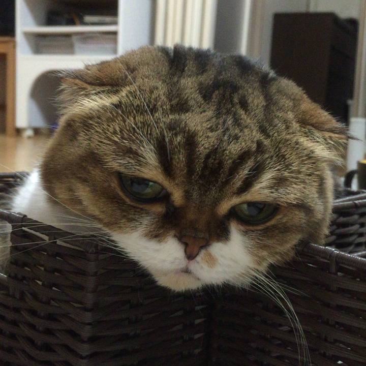 Fb70f3e2 56c8 4f9f 9184 425f36d3de05