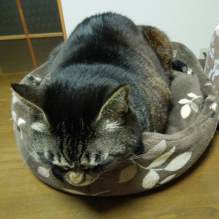 Fb711367 62b8 411b a3bc 569b55a4dfef