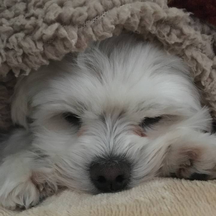 Fb7123d5 730f 41a1 a0ae 95dfa0c52750