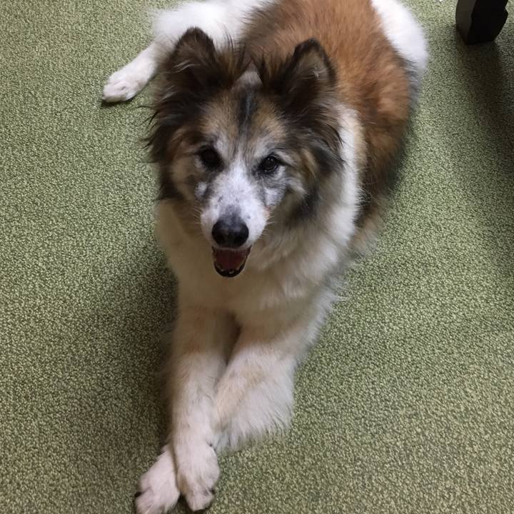 Fb715422 2250 4862 a771 179d5bd0a9d0