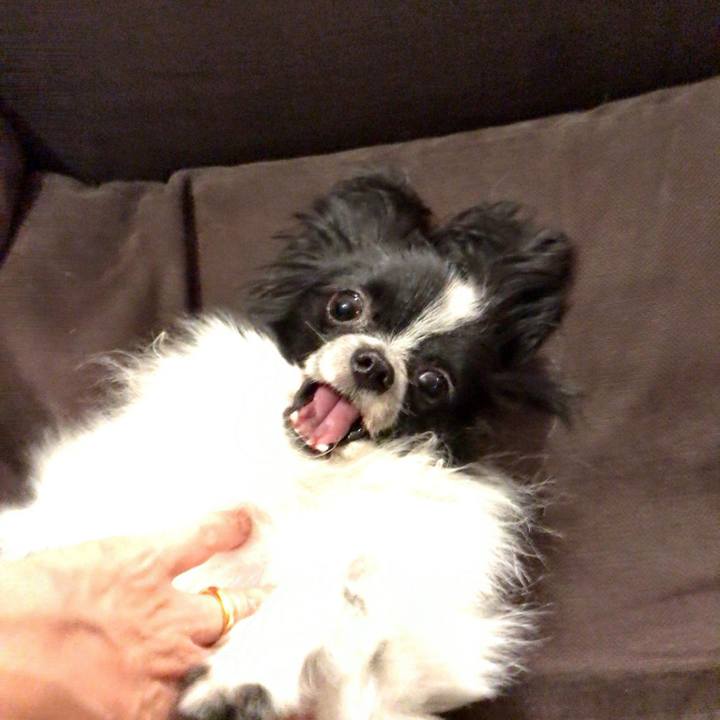 Fb7165d4 142a 4564 b3b5 4d0ea5bcf8c6