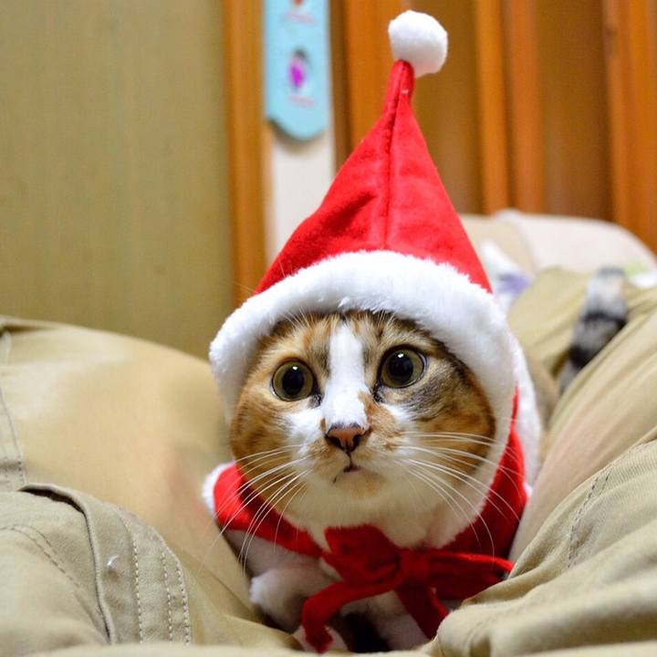 Fb722560 c94f 4d76 be84 8ef29dca6642