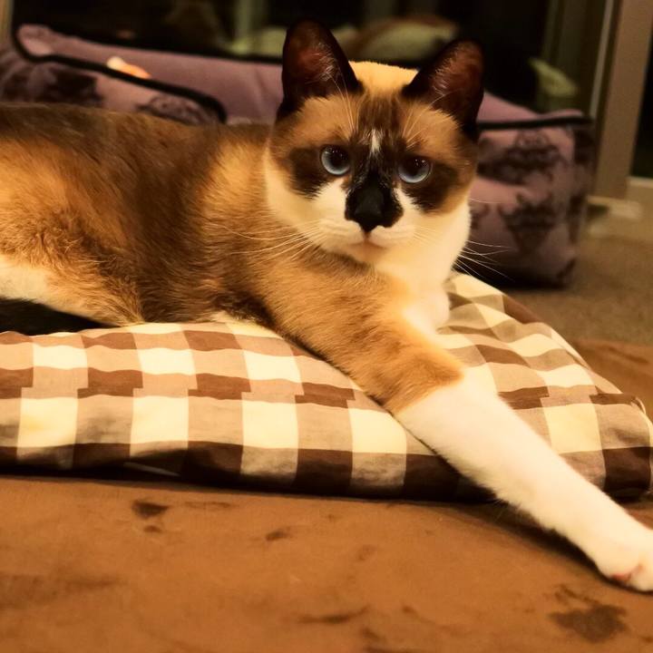 Fb72bad5 0571 45c4 9d8a 4e9da2c8a905