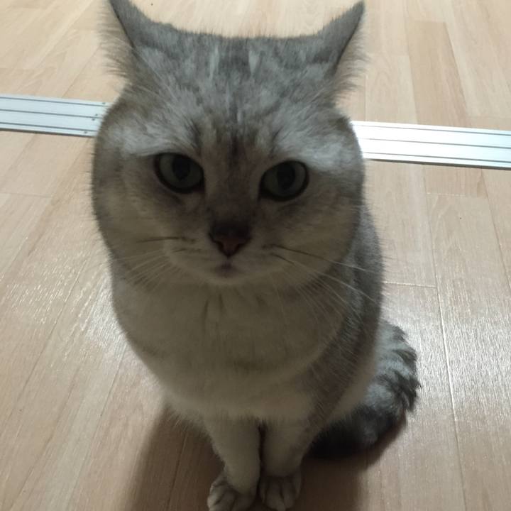 Fb72d3bb 15c4 4b54 b8f5 c58fc7406f5d