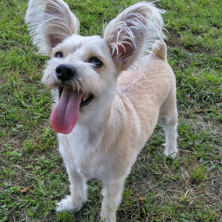 Fb733ade 6cb7 4502 b78b 97fd761c88ec