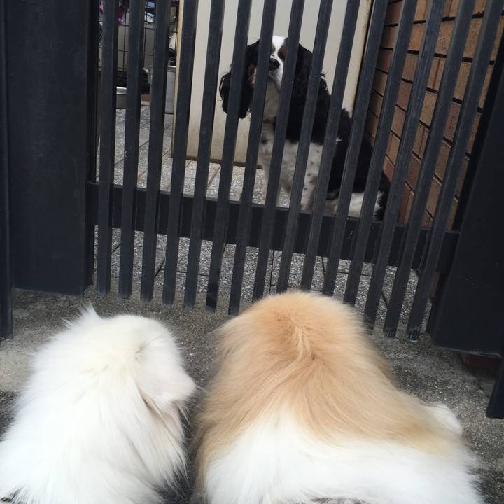 Fb7358a5 7d8d 4449 8b9c c720ee607bd8