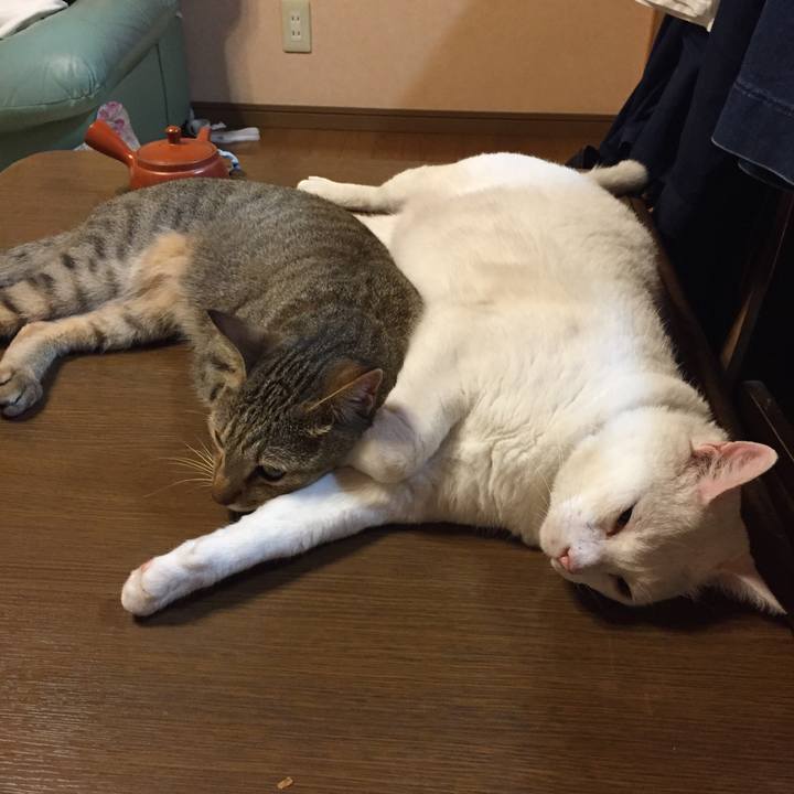 Fb73fc98 321e 4a6e acf1 ab70439afe2f