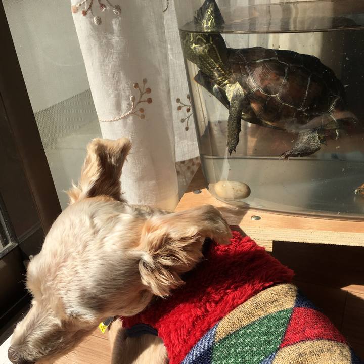 Fb758893 21bc 4d1f 8592 883503869330