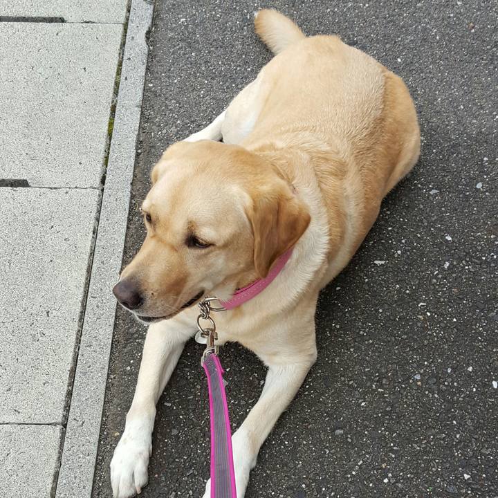 Fb75c309 aaa8 4f53 9248 dc7835b0b855