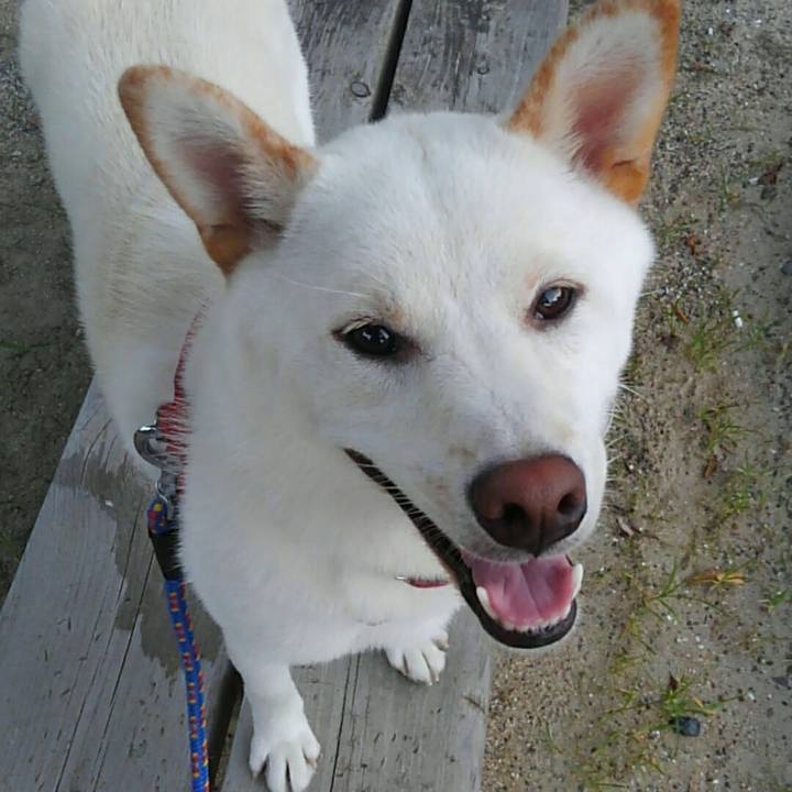 Fb75ccce 63b3 40b0 9601 c3601c8ece9b