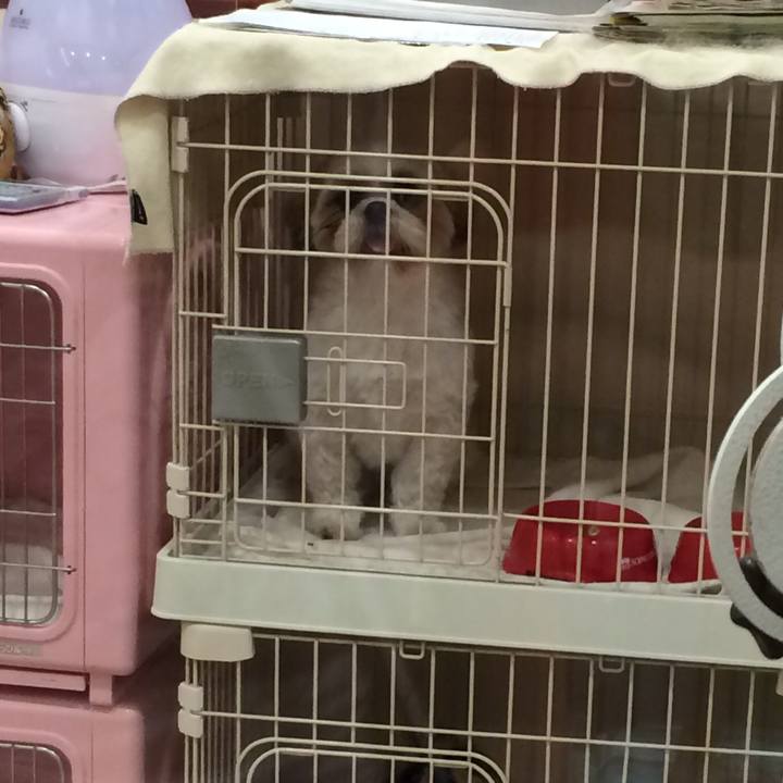 Fb76067c eb6d 4c7a 8d56 8ebbb99d72bd