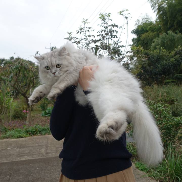 Fb7664eb 16ac 4284 9f35 1a66e26ee34b