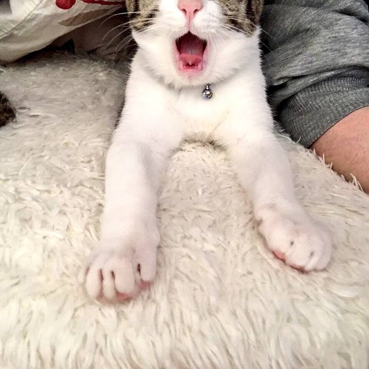 Fb76c3e7 6aa7 4384 8dd3 8f5ac99522ed