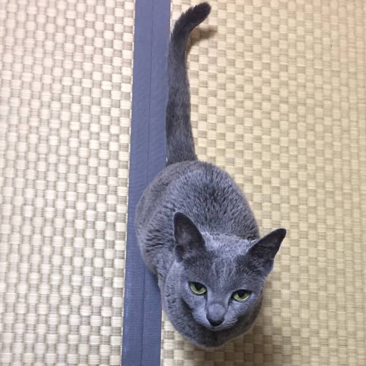 Fb7707d4 3876 4639 a61e 9fe06d775545