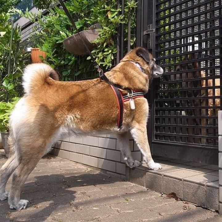 Fb777e46 a5a3 45e9 8646 3ed2bb57c314