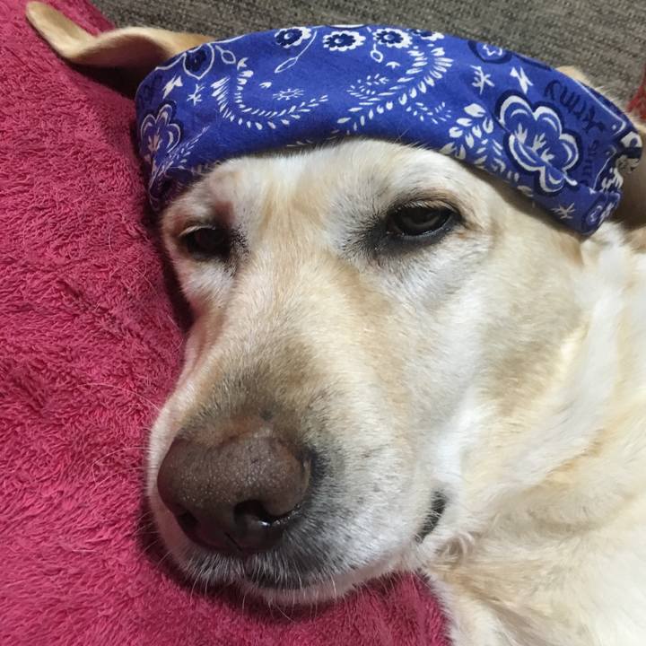 Fb77b09a 7664 4e58 be96 f413c739b7fb