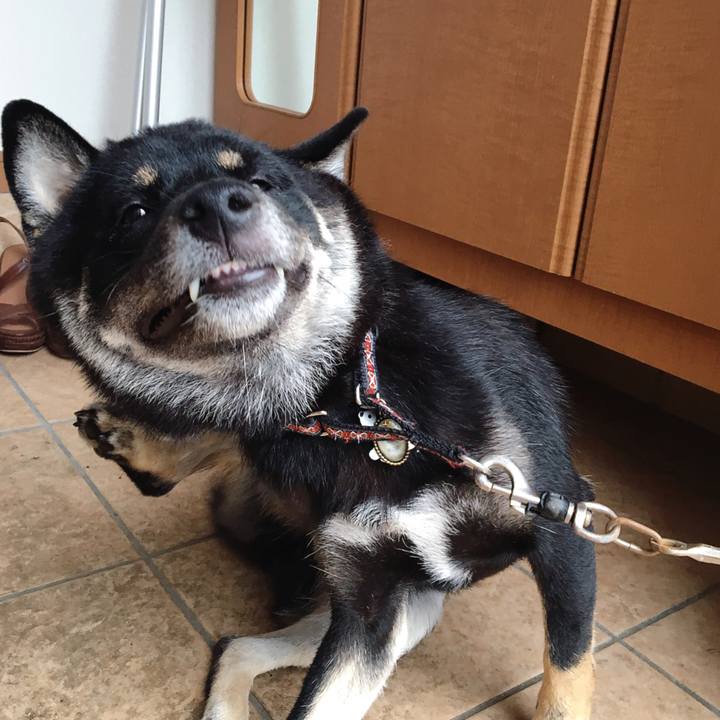 Fb77c782 fb4d 4321 824d 668b757549dd