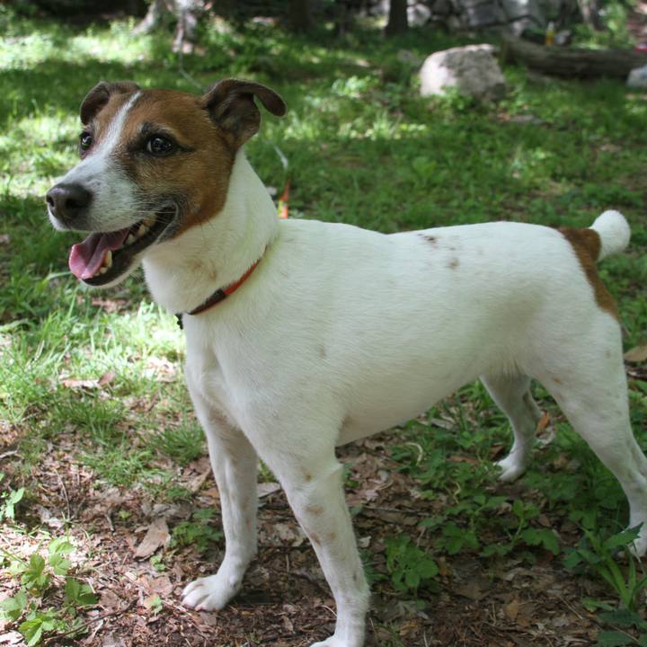 Fb794ccd 1389 47ef a36e 5f3ca30c7dcc