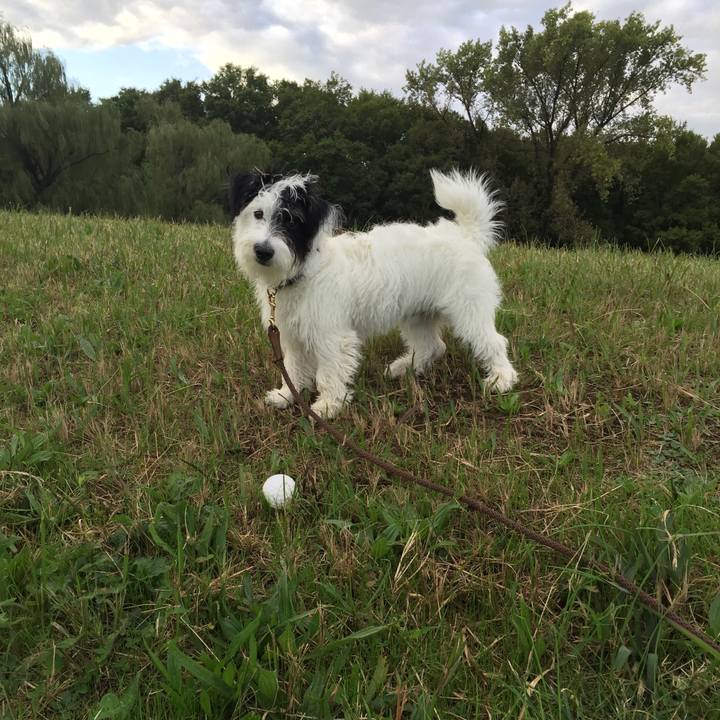 Fb79b6e0 4e1d 4206 b4da 8a5cad9a2685