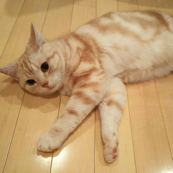 Fb79c5e7 aab8 4565 9e7b a877ad2c8c74