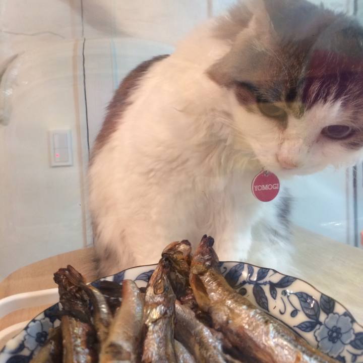 Fb7a200a d8d1 47d2 af08 3c970869008e