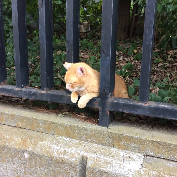 Fb7b12a0 2020 4ce4 946a 8949a836abe1