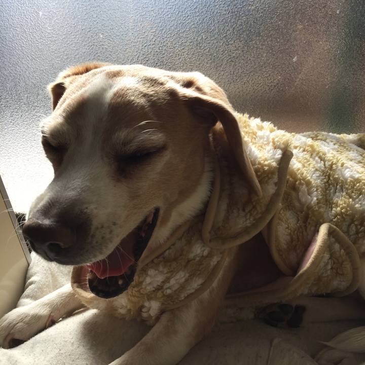 Fb7b1885 509e 4bd0 8aaa 8ec1713b241c