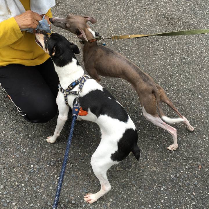 Fb7bbdcf 4c11 487f bc6d dea831846304