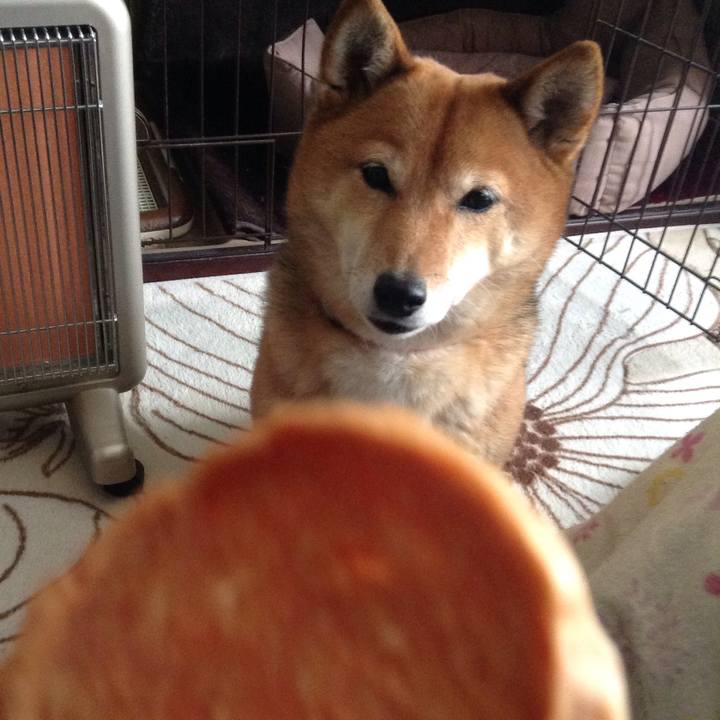 Fb7c517a 1b76 4a66 8d81 0808fcf3fbdc