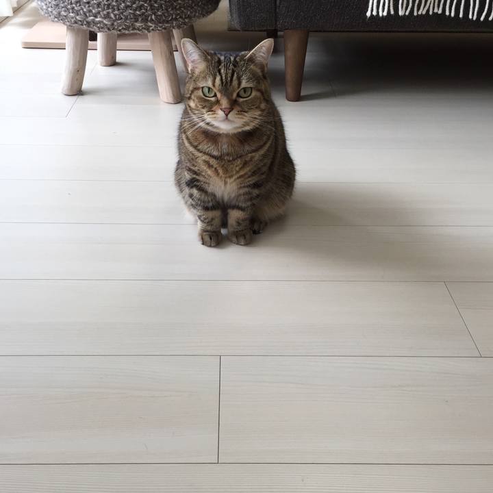 Fb7cf038 4e07 49bd 9893 fe658489d226