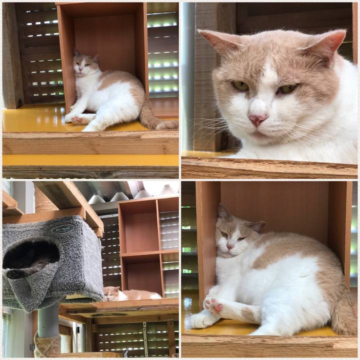 Fb7d243d 38f0 44e0 a038 9c677c5fb7c7