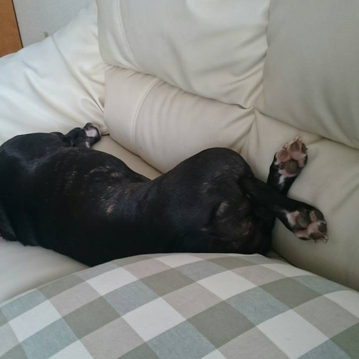 Fb7da559 2001 4bed a95f bbf7a27d0328