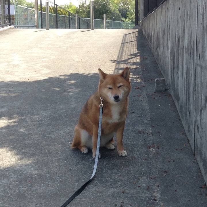 Fb7dcbb3 4909 4f50 8b67 4a6fa850e126