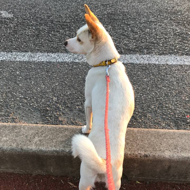 Fb7e0177 fe1f 45d8 8c6e 9271220bcb0b