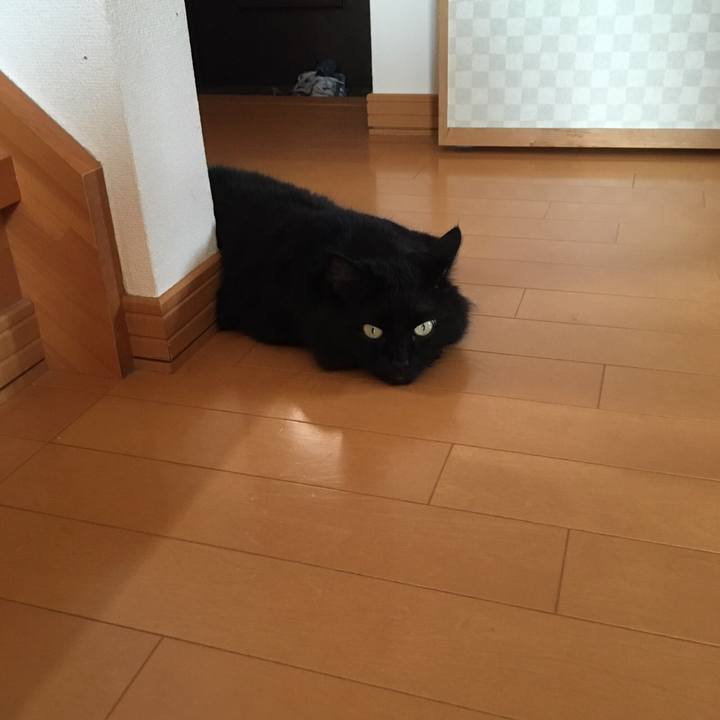 Fb7e0734 dcf5 40ae b3ce 3f56f1777afe