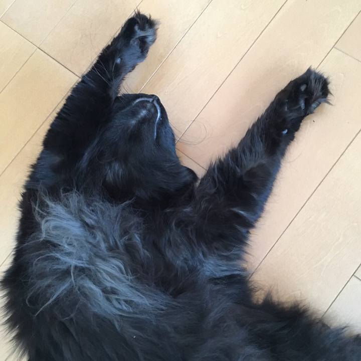 Fb7e1275 d3a8 4256 9412 f8a2690d0106