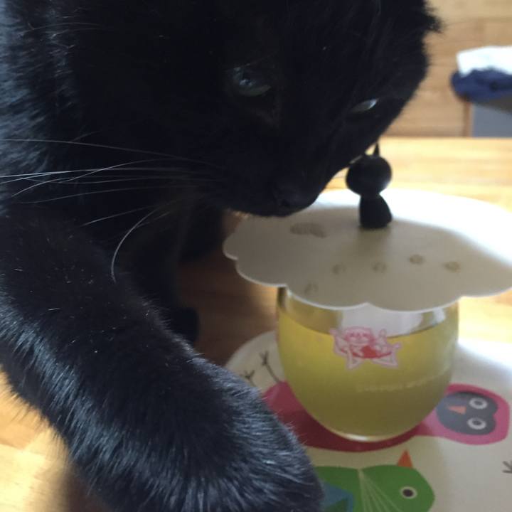 Fb7ea0de 52b6 456d 8fbf 1c7b83eff989