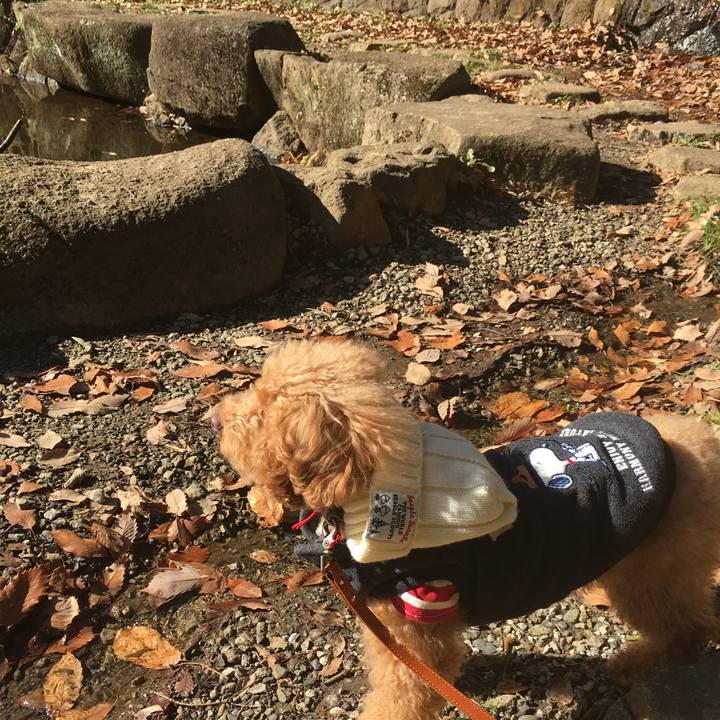 Fb7f6b20 47a7 4479 8cf6 d4c07c387371