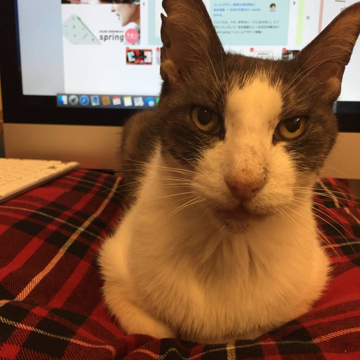 Fb7ff53a ca0f 4b9d 82a4 61423d54939d