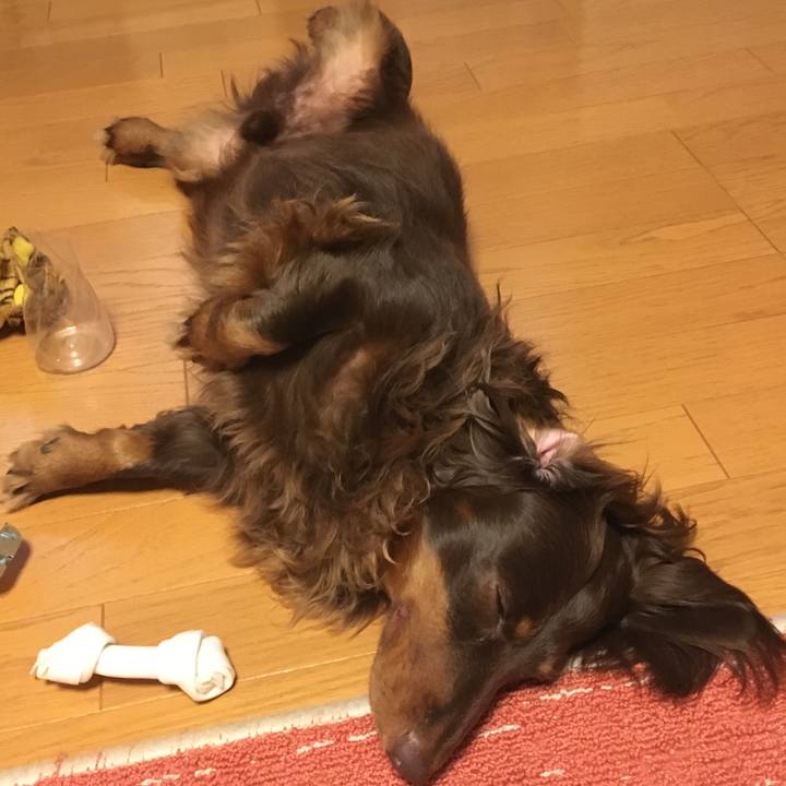 Fb7ffd37 04e7 4787 9448 2708fde76e35