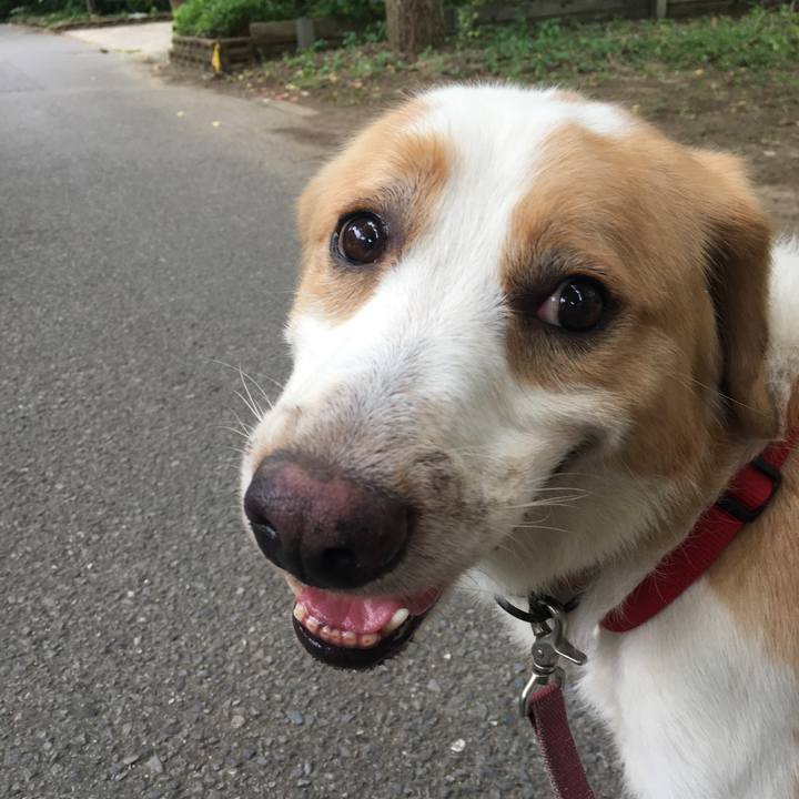 Fb809183 c871 4698 b398 2a6935f4022e