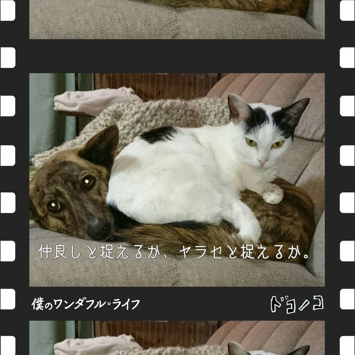 Fb814af1 9e66 428a 9a73 3d777bde40d1