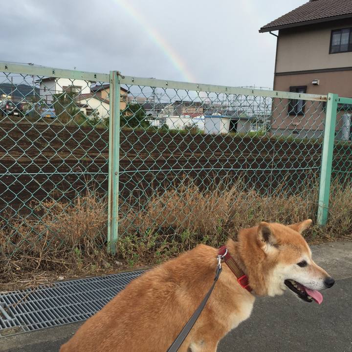 Fb815d56 566c 4ecb 8681 6182ba9cdd8b