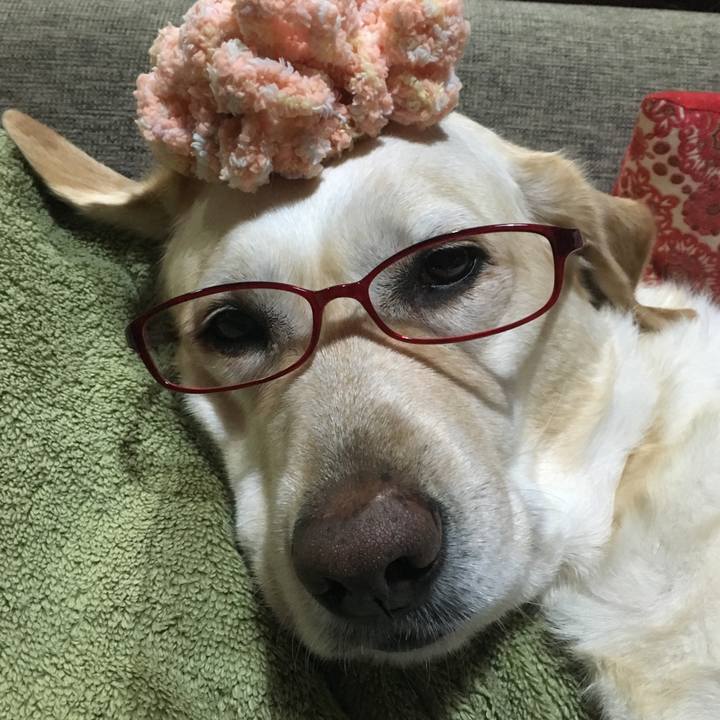 Fb815fe7 1063 4174 a6d5 60c5ca4e857a