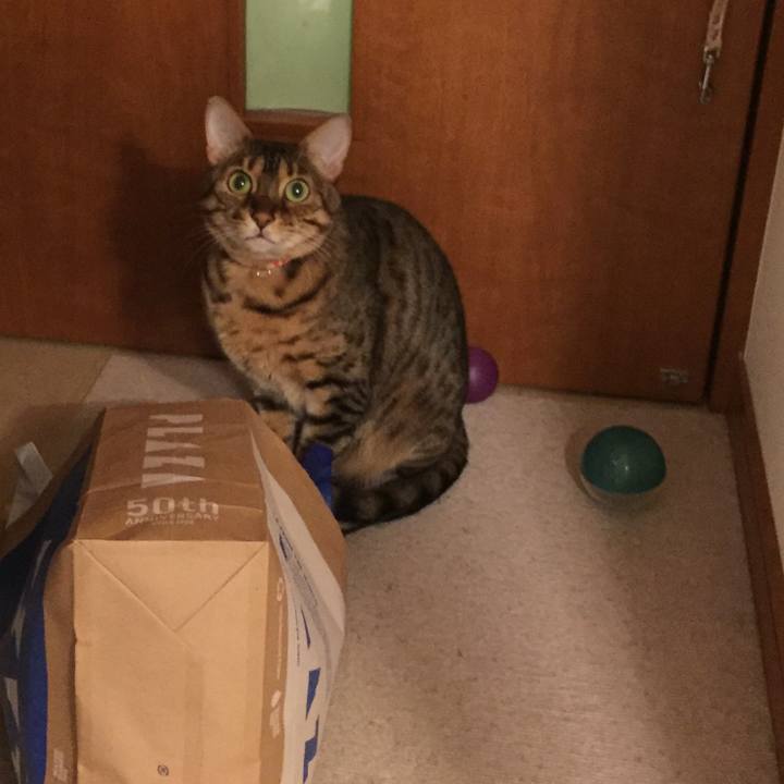 Fb81a4d7 dde1 4bd1 a9bc aa23621c3ea3