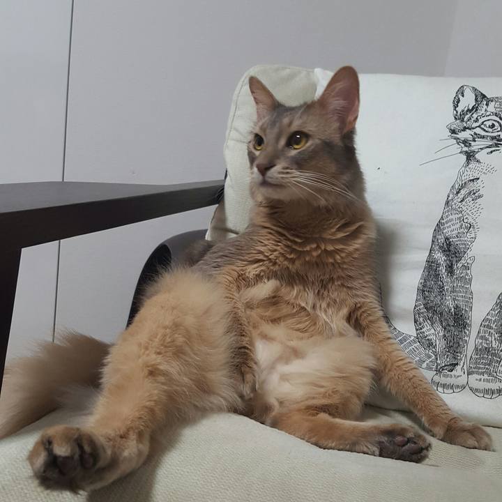 Fb81d479 4c56 48c4 98af d8d04b1a78a8