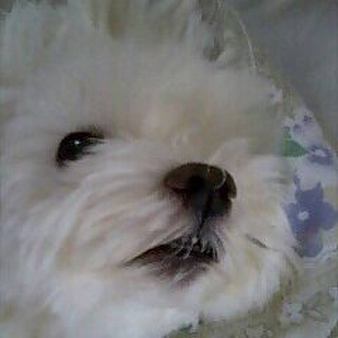 Fb821d0f 3bc7 4fdc 80fc 6f101f44b90e